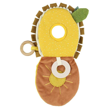 Sensory book - Mr. Lion